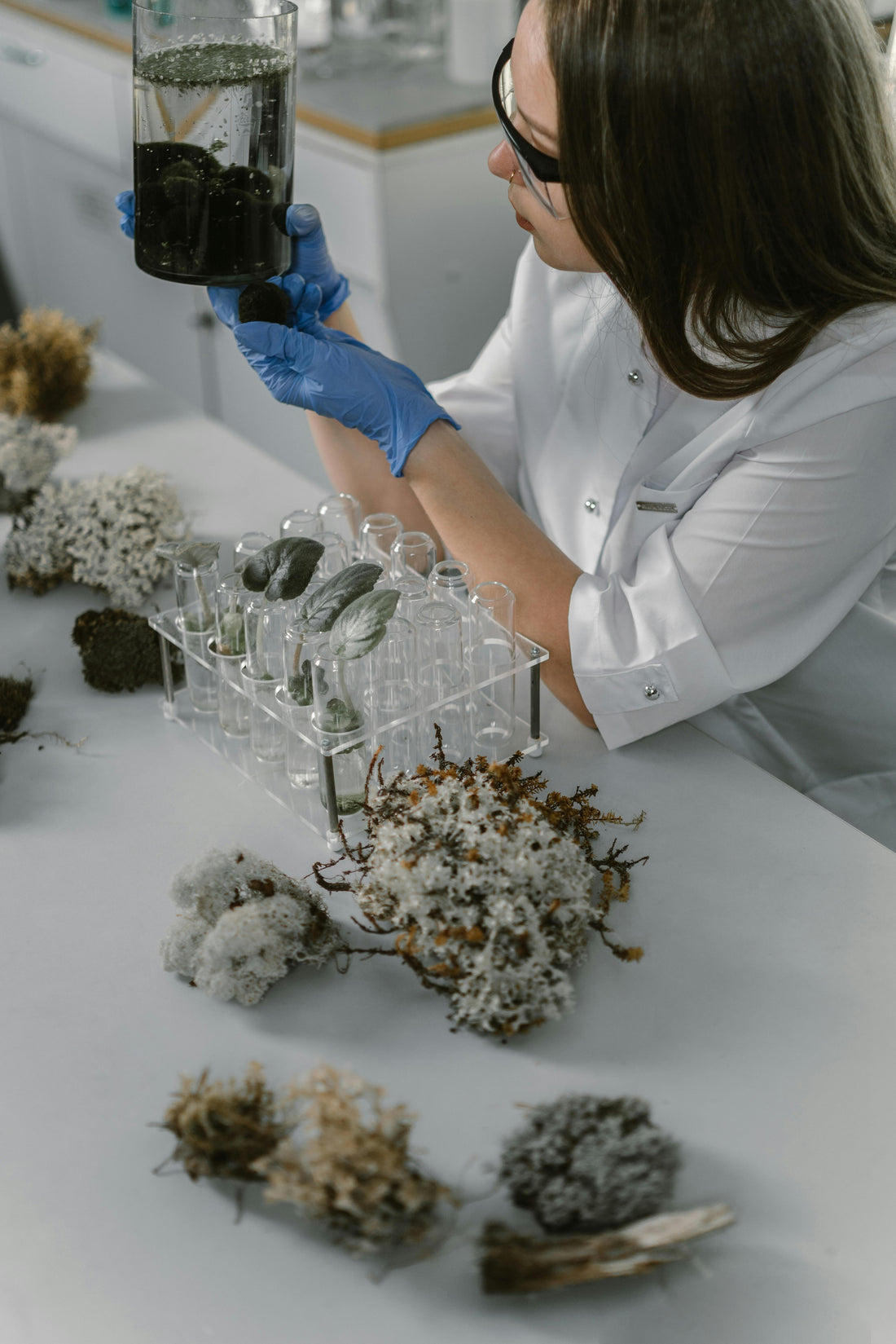 Ingredientes icónicos y activos modernos: las claves de la cosmética coreana